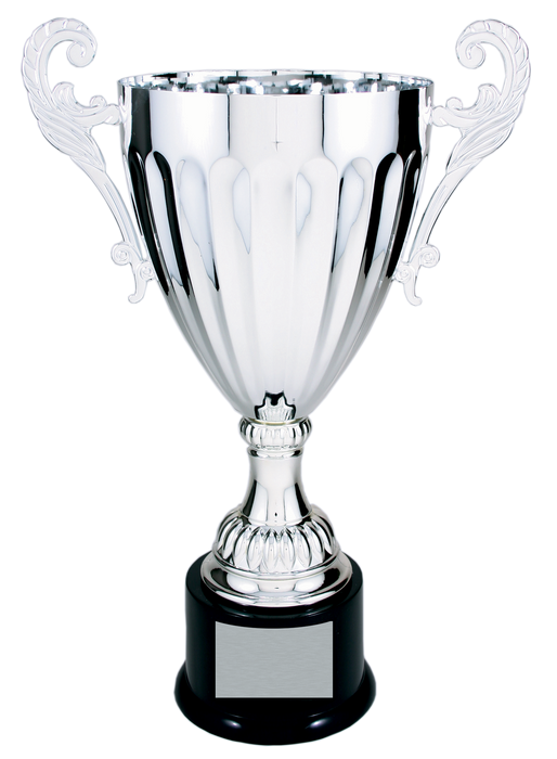 Series 30X trophy award shown in silver.