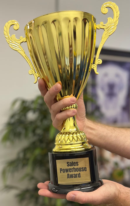 Large cup trophy award shown in gold. Series 30X trophy.